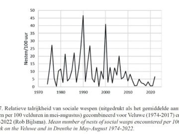 Grafiek met enkele flinke pieken en daaronder de volgende tekst: Figuur 7. Relatieve talrijkheid van sociale wespen (uitgedrukt als het gemiddelde aantal nesten gevonden per 100 velduren in mei-augustus) gecombineerd voor Veluwe (1974-2017) en Drenthe in 1990-2022 (Rob Bijlsma).