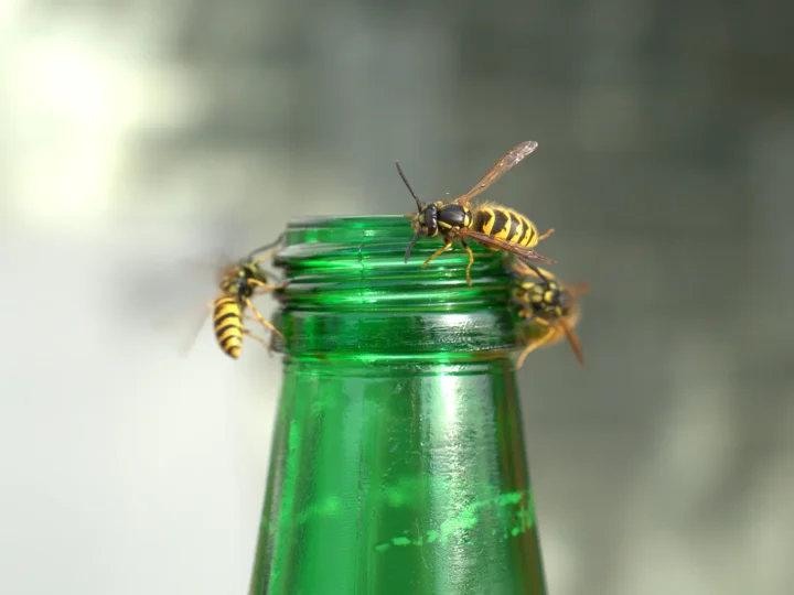 Wespen op de hals van een groen flesje