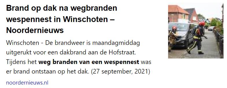 Brand op dak na wegbranden wespennest in Winschoten - Noordernieuws

Winschoten – De brandweer is maandagmiddag uitgerukt voor een dakbrand aan de Hofstraat.

Rond tien voor twee werd de brandweer van Winschoten opgeroepen voor de brand. Tijdens het weg branden van een wespennest was er brand ontstaan op het dak. (27 september, 2021)