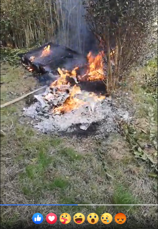 Een brandende massa met op de achtergrond bosschages, daarvoor een zwartgeblakerd rechthoekig iets, met vlammen die er nog uit komen, rechts daarvoor een grijze massa waarvan je nog net zou kunnen ontwaren dat het een wespennest was. Dat wespennest staat ook nog in de brand.