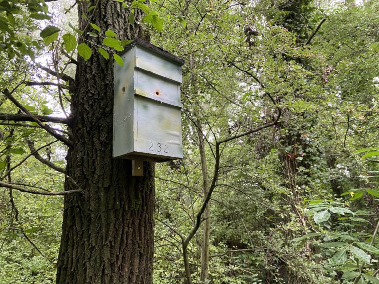 Boom met tegen de stam een houten kast. Er zitten twee horizontale dwarslatten aan de voorkant met tussenin een rond gat. De kast is een beetje in camouflagekleuren geschilderd en er staat het nummer 232 op. Ook aan de zijkant zit een ronde opening.