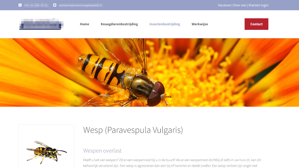 Webpagina met in het menu Home, Knaagdierenbestrijding, Insectenbestrijding en Werkwijze en daarnaast een rode button met Contact. Daaronder zie je een foto van een oranje-gele bloem met daarop een geel-zwart gestreept insect met één paar vleugels, grote bolle ogen en heel korte antennes met daaronder de koptekst 'Wesp (Paravespula Vulgaris) en een stuk tekst over 'wespen overlast'.