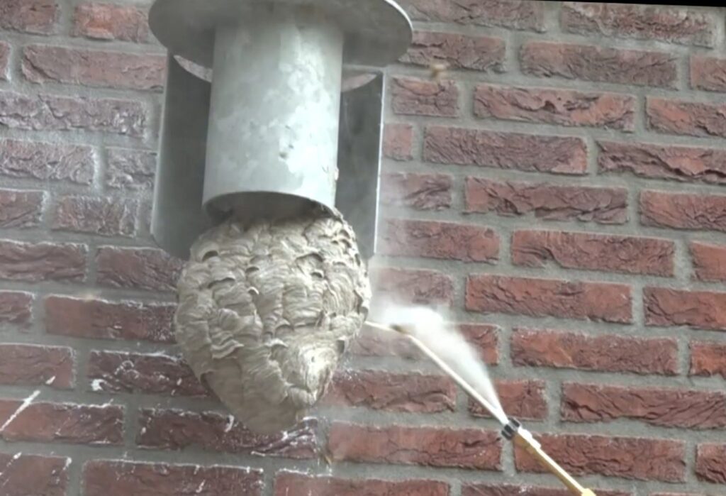 Buitenlamp tegen een buitenmuur met daaronder een klein grijs wespennest in peervorm, maar dan met de smalle kant naar onderen. Rechts daarvan een gifspuit waar een flinke dosis wit poeder uit spuit tegen het wespennest aan. Links boven wordt de muur al wat wit van al het witte poeder en daaronder zie je witte klodders wit poeder zitten, alsof er witte verfspetters op de muur zitten.